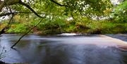 A weir and pool on the River Neb