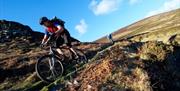 Mountain bikers decending the hills