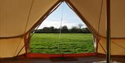 Braddan Bridge Isle of Man TT Pre-Pitched Campsite