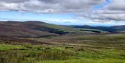 Views over the countryside of rolling hills covered with purple heather and the sea in the distance.