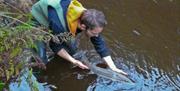 Returning a Sea Trout to the Neb