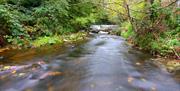 The Silver Burn River