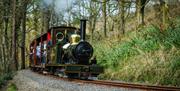 Sea Lion and train climbing out of Groudle Glen