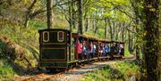 Sea Lion and train descends the hill in Groudle Glen