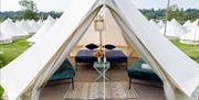 Book your Isle of Man TT Glamping with Duke Bookings