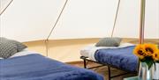 Book your Isle of Man TT Glamping with Duke Bookings