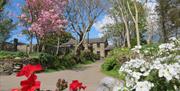 holiday cottages in the Isle of Man