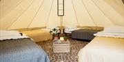Spacious 4 bed bell tent for TT Races accommodation