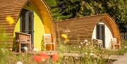 2 Glamping pods at Glen Helen, Isle of Man with wildflower meadow
