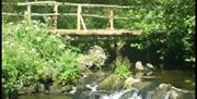 Saba's Glen Yurt Eco Campsite