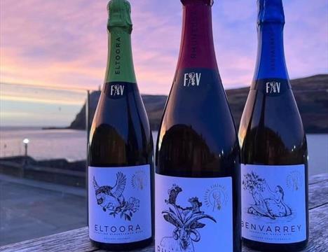 Free bottle of fizz when you book Palm Villa