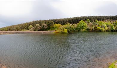 Ballure reservoir, looking towards the dam