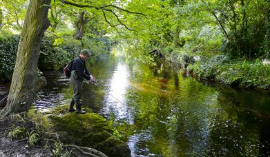 Angling on the Neb