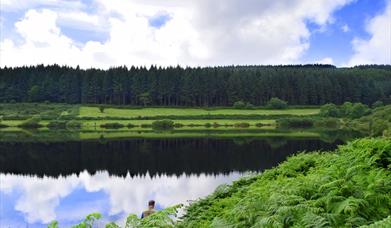 Cringle Reservoir