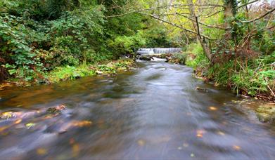 The Silver Burn River