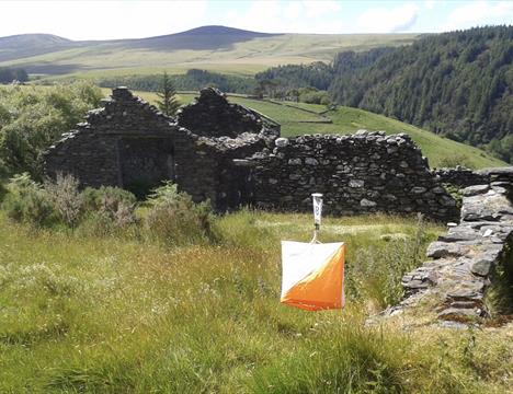 Orienteering Klubb Autumn Challenge Orienteering Event - Tholt y Will Forest & Glen Area