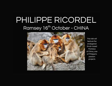 Philippe Ricordel - World Wildlife Photography