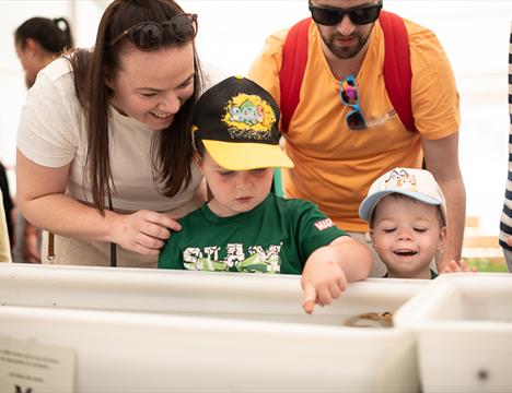 Manx Wildlife Trust Festival of the Sea