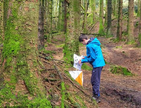Isle of Man Orienteering Klubb - Summer Challenge Orienteering Event – Silverdale Glen.