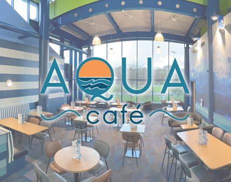Aqua Cafe Logo