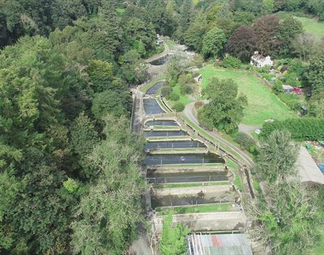 Aerial view of the Cornaa Fish Farm