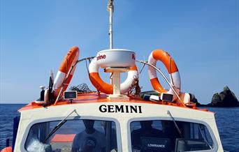 Gemini Charter Boat
