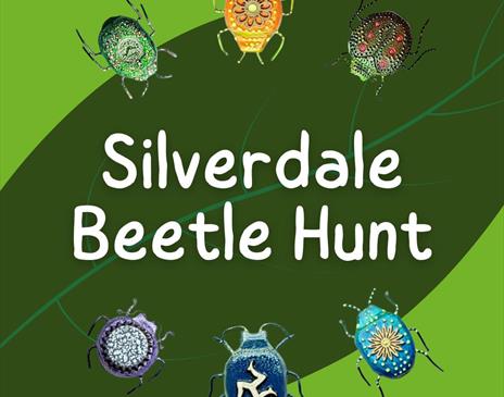 Silverdale Beetle Hunt