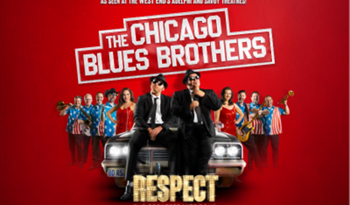 The Chicago Blues Brothers - Respect The Chicago Blues Brothers - Respect