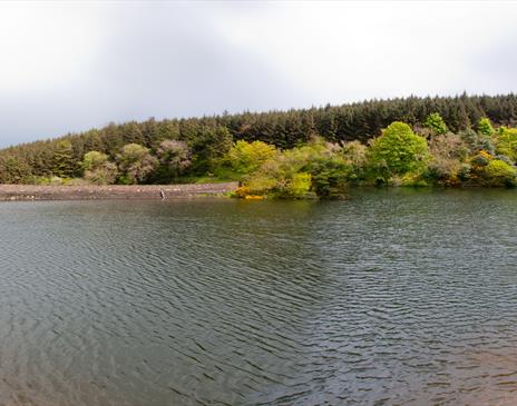 Ballure reservoir, looking towards the dam