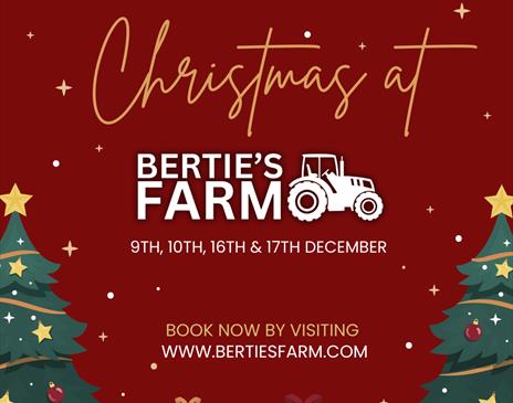 Christmas at Bertie's Farm