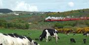 View over fields towards Steam Railway