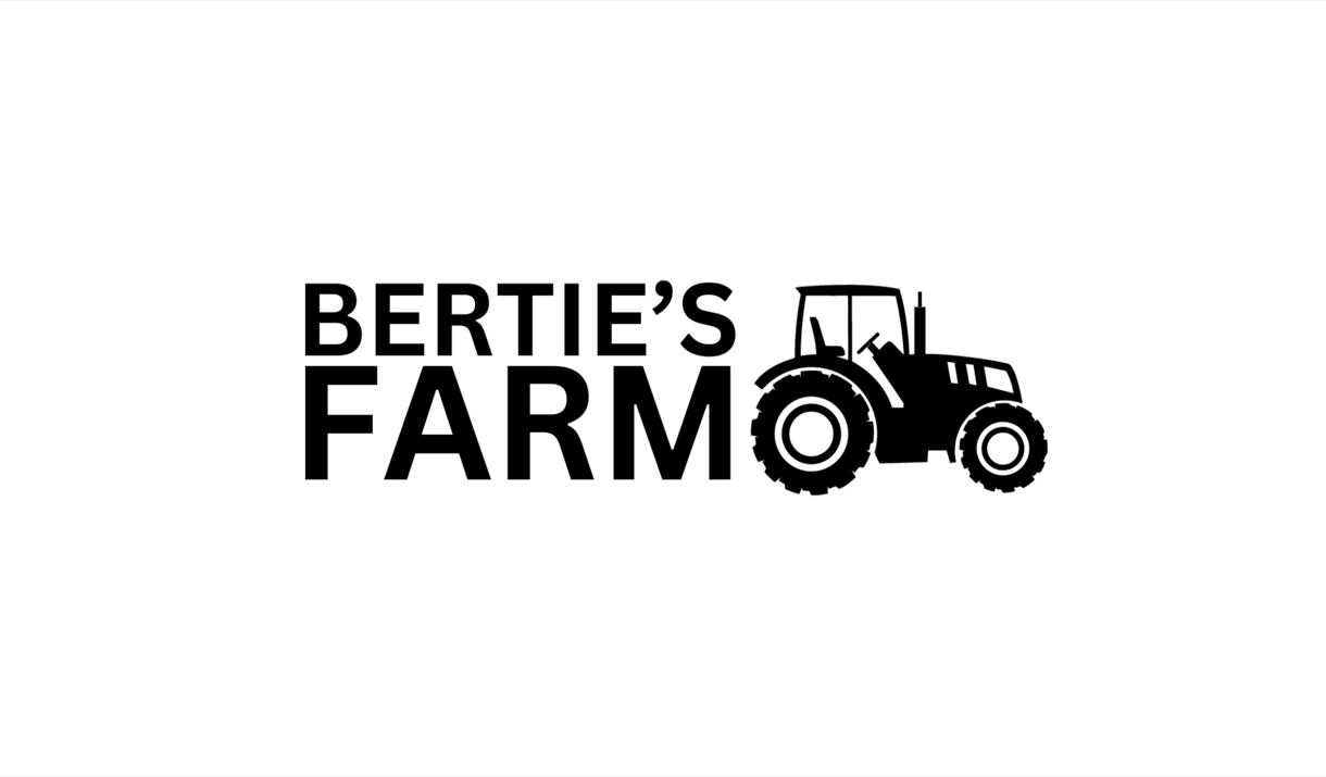 Bertie's Farm Pumpkin Festival Bertie's Farm Pumpkin Festival
