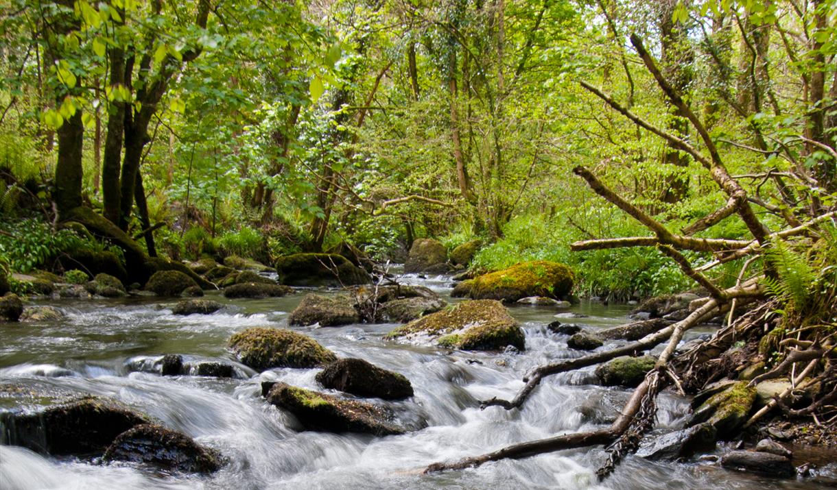 The Glen Roy tributary of the Laxey River