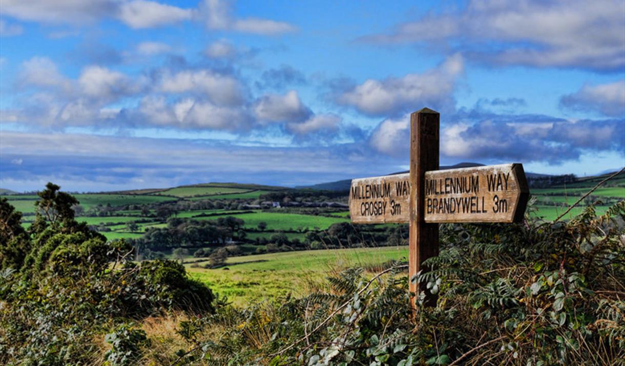 Halfway - Millenium Way Sign