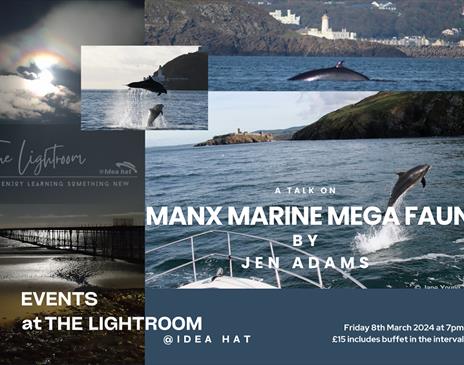 Manx Marine Mega Fauna