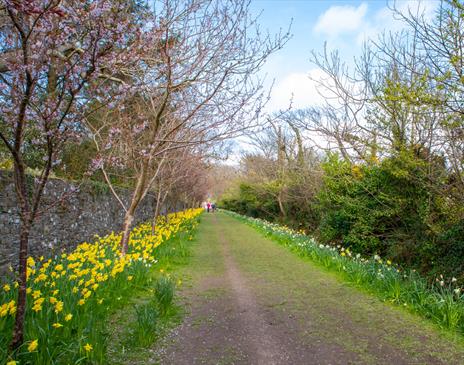 Railway Ramble: Santon Station, Glen Grenaugh, Port Grenaugh and Santon Head