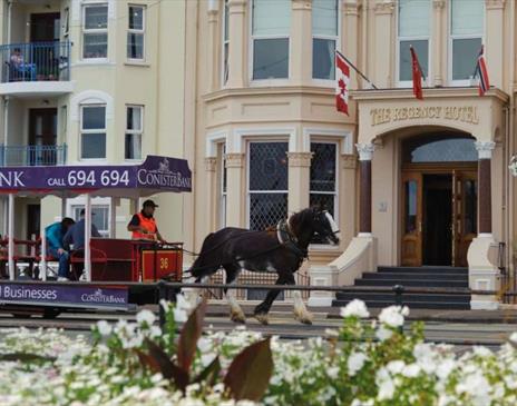 Regency Hotel - horse pulling tram