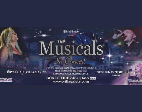 The Musicals in Concert