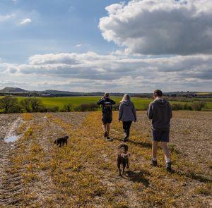 People walking in the countryside on the Isle of Wight with their two dogs