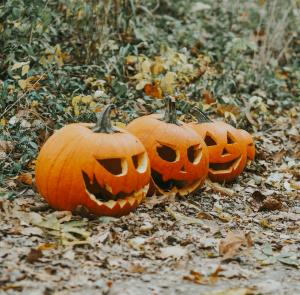 Pumpkins on the ground surrounded by leaves