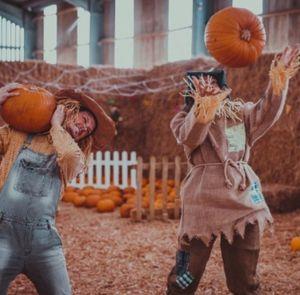 Scarecrows at Pumpkin Festival at Tapnell Farm Park