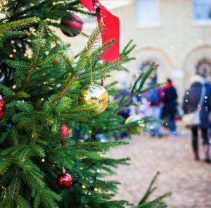 Christmas tree outside of Osborne House on the Isle of Wight