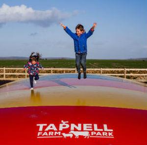 Children on jumping pillow