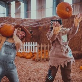 Scarecrows at the Pumpkin Festival at Tapnell Farm Park