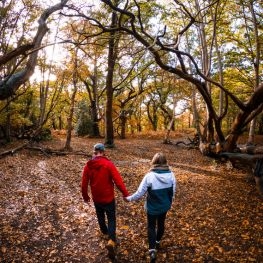 Couple walking in the forest on the Isle of Wight