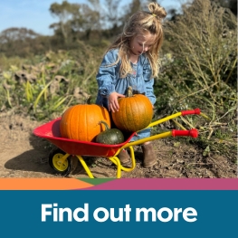 A girl next to a wheelbarrow of pumpkins at Westover Farm Pumpkin Patch on the Isle of Wight