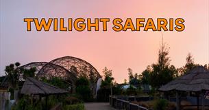 Twilight Safaris