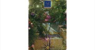 Christmas tree, festive events at The Boathouse, Seaview, Isle of Wight