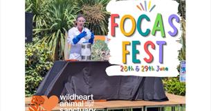 Isle of Wight, Things to do, FOCAS Fest, Wildheart Animal Sanctuary, Sandown