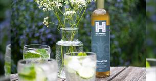 Eucalyptus cordial from Hill Hassall Botanics at Ventnor Botanic Garden, Isle of Wight, local produce, buy local